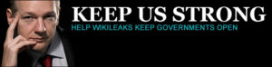 Assange, Wikileaks